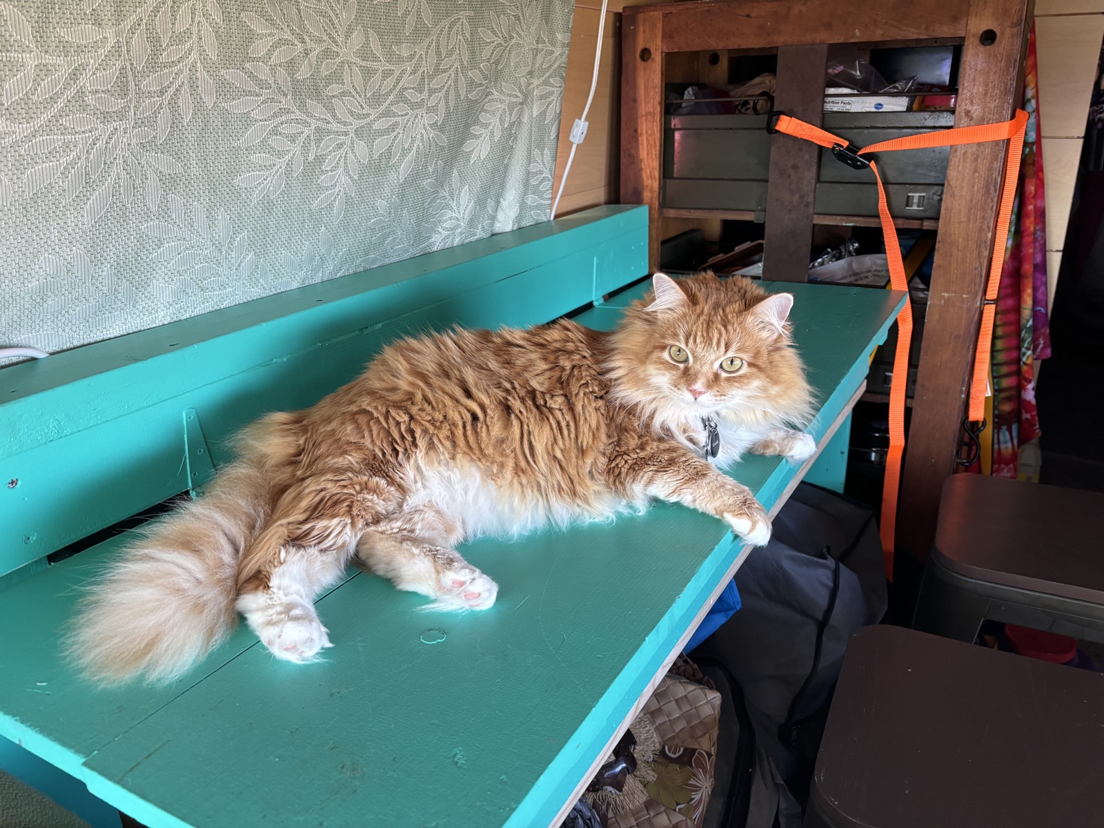 VanFest community photo